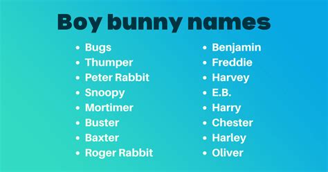 450 Adorably Unique Bunny Names Youll Love