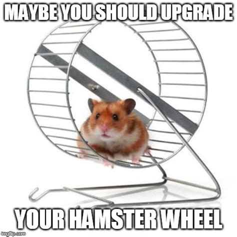 Hamster Wheel Memes And S Imgflip