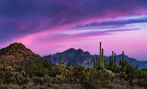 Paint The Desert Skies Pink And Purple Photograph By Saija Lehtonen