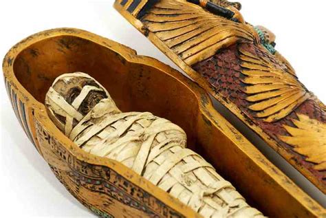 Descubren Fosas En Egipto Con Momias De Niños De Hace 5000 Años