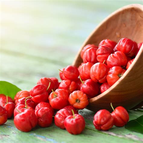 Health Benefits Of Acerola Cherry