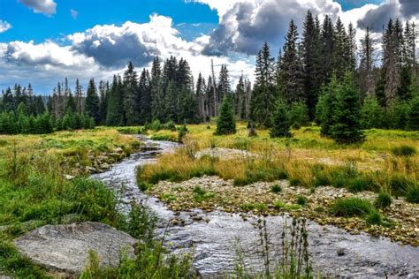 River Flows Through Meadows With The Forest As Background Stock Photo