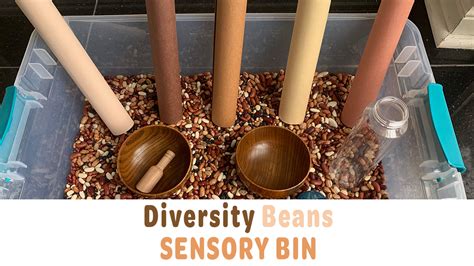 Best Beans For Sensory Bin At Matthew Stephens Blog