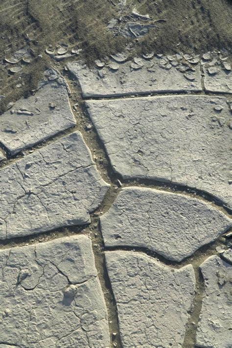 Mudcracks And Sand Geology Pics