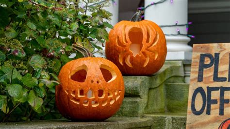 Dont Throw Them Away What To Do With Your Pumpkins After Halloween