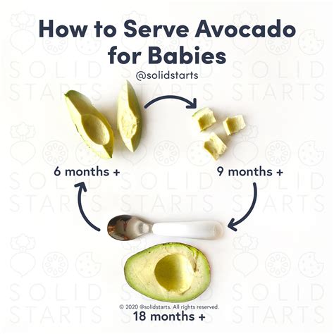 How To Serve Avocado Baby Led Weaning Vanswarpedtourmn