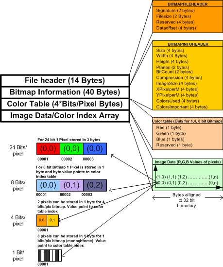 Binaryworld Working With Bitmap And Dib Vb Bitmap