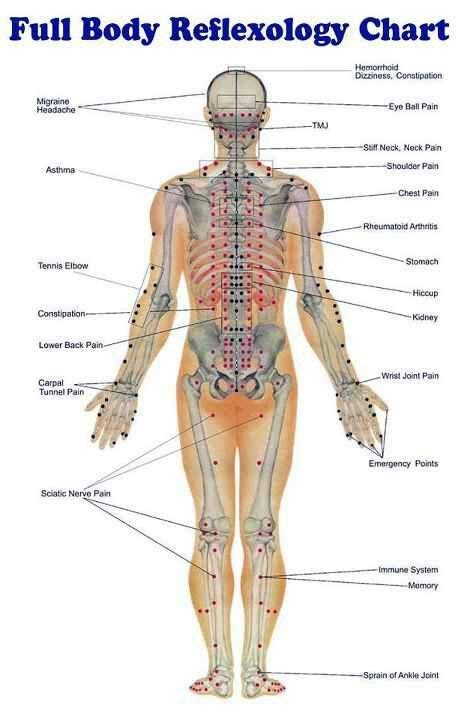Full Body Reflexology Chart Carefully Check The Areas Where You Are