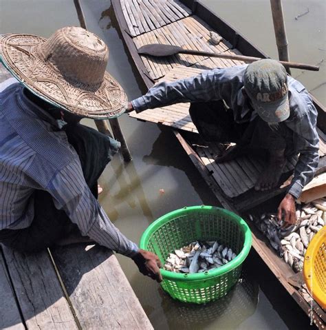 Myanmar Fisheries And Aquaculture Research Symposium Proceedings Cgiar