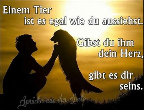 Check spelling or type a new query. Pin auf Hunde