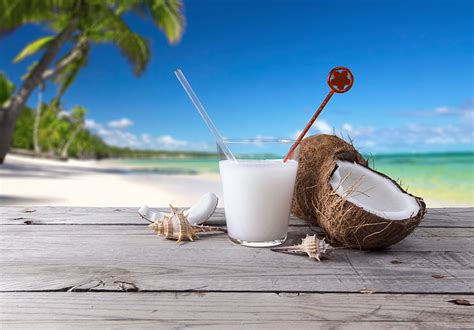 Hd Wallpaper Coconut Juice Sea Beach Palm Trees Cocktail Shell