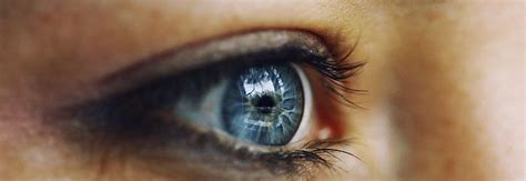 Blue Eyed Humans May All Descend From A Single Common Ancestor Types