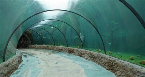 Commercial Aquarium Builder Reynolds Polymer Technology Provides