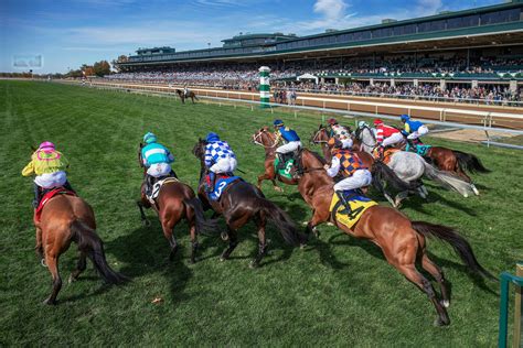 Scott Shapiro's picks for Oct. 14 at Keeneland | TwinSpires