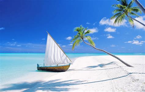 Wallpaper Beach Palm Trees The Ocean Boat Island Sail The
