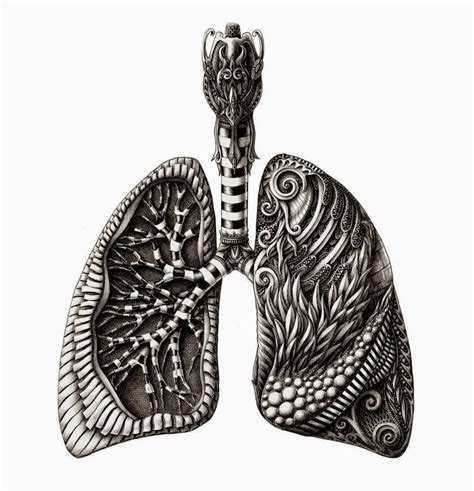Simply Creative Lungs Art Human Anatomy Art Anatomy Art