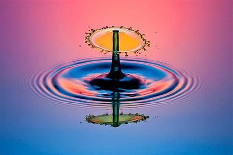 Litartista Water Drop Photography For All Levels