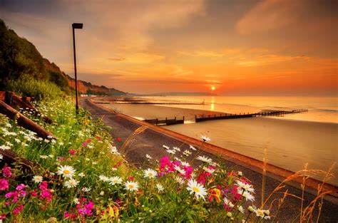 Download Horizon Ocean Sky Sunset Pier Coastline Coast Flower Earth