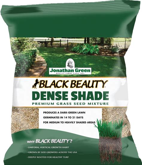 Buy Jonathan Green Black Beauty Dense Shade Grass Seed Mixture Lb Medium Texture Dark Green