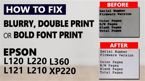 How To FIX Epson L120 L121 L220 L210 L360 XP220 Blurry Or Double