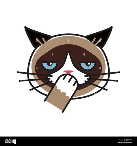 Shy Grumpy Cat Meme Cat Isolated Whitebackground Stock Vector Image