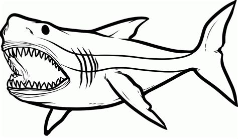 Great White Shark Coloring Pages Learny Kids