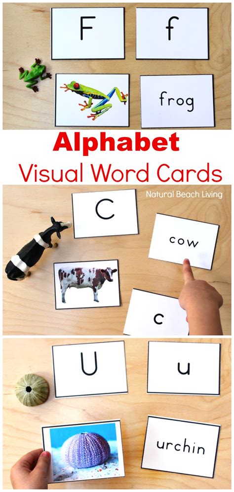 Alphabet Printable Picture Cards Visual Word Cards Natural Beach Living