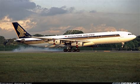 Airbus A340 313 Singapore Airlines Aviation Photo 6076629
