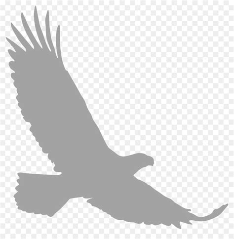 Free Soaring Eagle Silhouette Download Free Soaring Eagle Silhouette