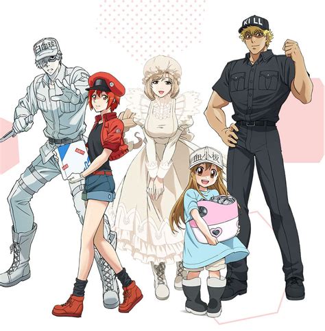 Cells At Work Wallpapers Top Free Cells At Work