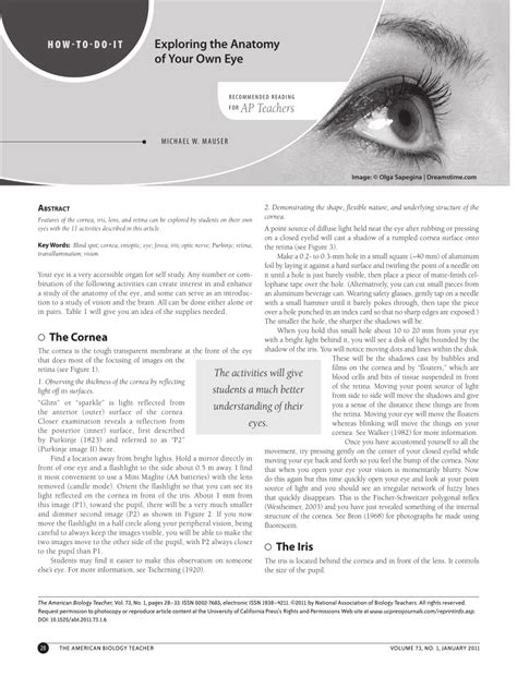 Pdf Exploring The Anatomy Of Your Own Eye