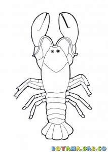 Did you mean rooster ? Lobster Coloring Pages for Kids - Preschool and Kindergarten