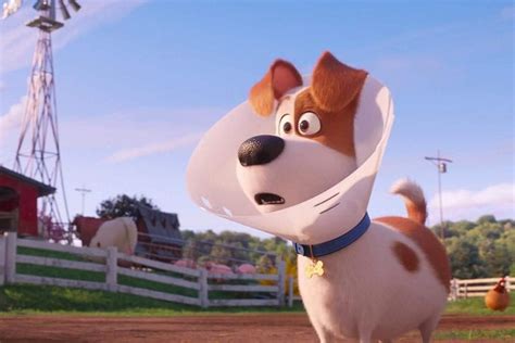 Review The Secret Life Of Pets 2 The Cordova Times