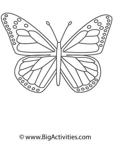 Butterfly Easy Word Search Monarch Butterfly