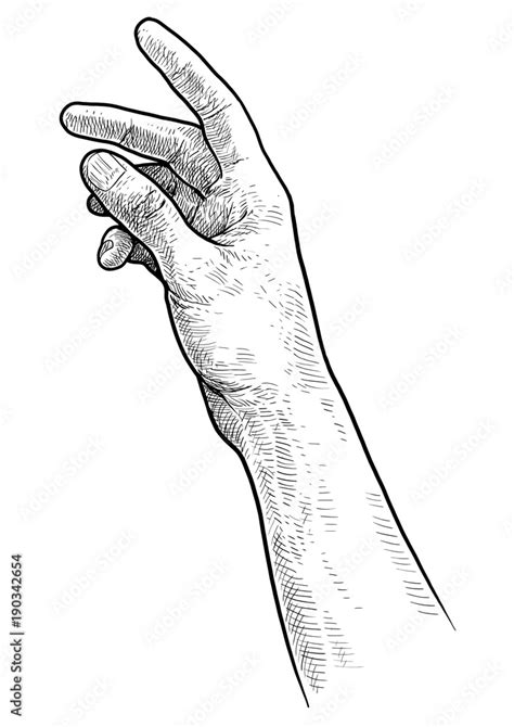 Reaching Hand Illustration Drawing Engraving Ink Line Art Vector