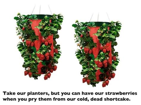 Topsy Turvy Upside Down Strawberry Planter 2 Pack