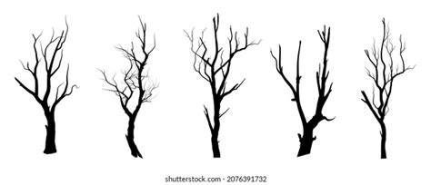 Black Branch Tree Naked Trees Silhouettes Stock Vector Royalty Free Shutterstock