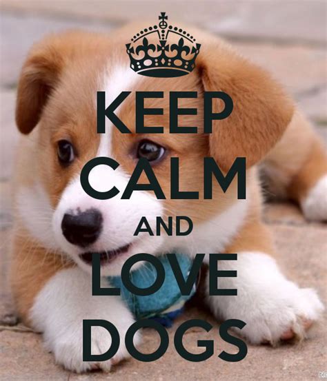 Keep Calm And Love Dogs Keep Calm Posters Keep Calm Quotes Animals