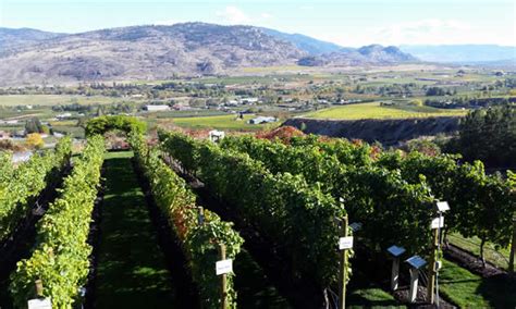 The town is 3.6 kilometres north of. Osoyoos fruit stands and markets-and where to find them ...