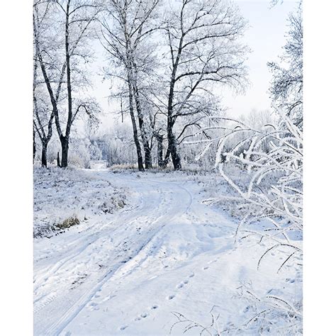 Winter Scene Printed Backdrop Backdrop Express
