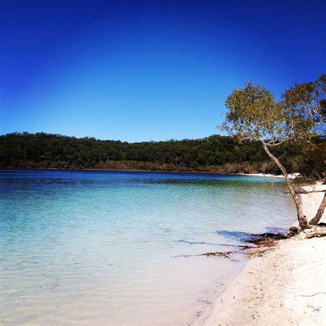 Fraser Island - Fraser Island, QLD | Fraser island, Sand island, Island