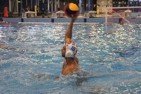 Awp Seeking Part Time Administrator — Auckland Water Polo