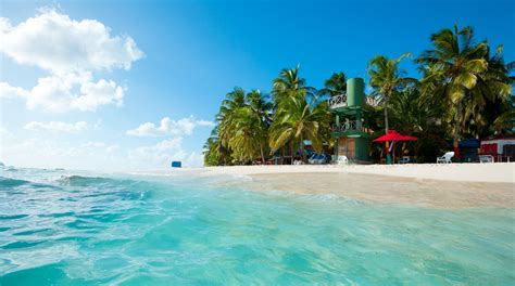 Visitez San Andrés Le Meilleur à San Andrés San Andrés Y Providencia