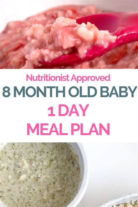 8 Month Old Meal Plan   Nutritionist Approved   Creative  