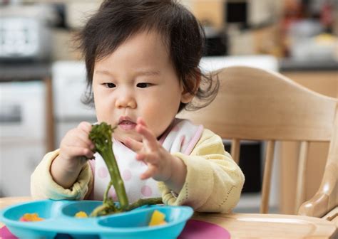 Baby Led Weaning The Breastfeeding Network