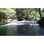 Mattole River Flow Status  Sanctuary Forest