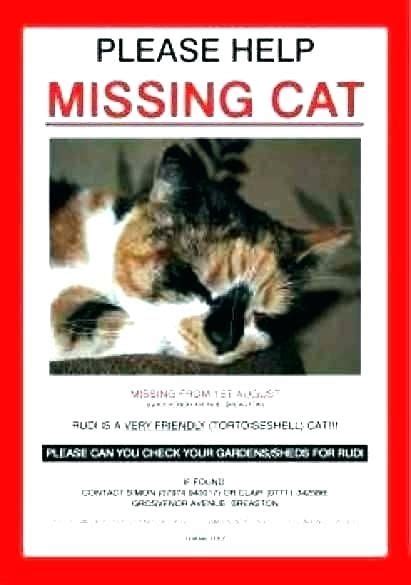 Easy to edit missing posters. Animal Flyer Templates Free | Missing cat poster, Poster ...