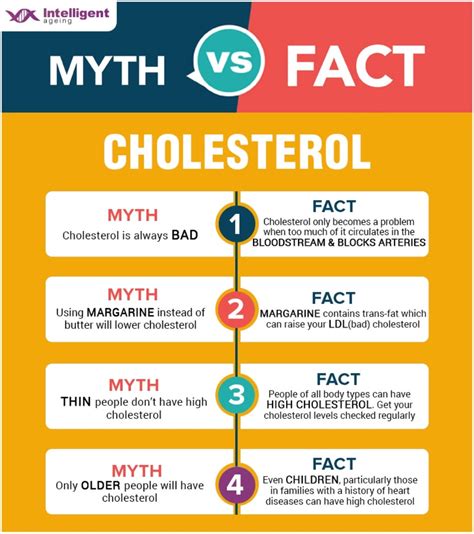 What Are The Myth And Facts About Cholesterol