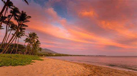 The 15 Best Beaches In Maui For Families