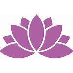 Yoga Flower Classes Class Pink Degrees Exhale